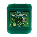 Cannacure Cannacure